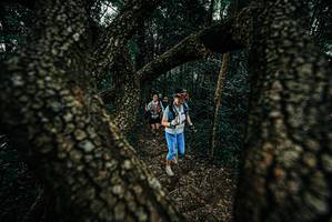 BIB: 
                            <button type="button" onclick="openModal(25684912)" class="btn btn-primary btn-sm float-right btn-popup" data-toggle="modal" data-target=".modal-high-quality">
                        <i class="fas fa-shopping-cart"></i> Add to Cart
                    </button>
                                            <button type="button" onclick="isThisMe(25684912, true)" class="btn btn-success btn-sm float-right btn-popup btn-isme hidden" data-toggle="tooltip" data-placement="bottom" title="นี่คือรูปของคุณใช่ไหม คลิกที่นี่เพื่อเอาเข้าอัลบั้ม">
                        <i class="fas fa-plus"></i> Add to album
                    </button>
                    <button type="button" onclick="isThisMe(25684912, false)" class="btn btn-warning btn-sm float-right btn-popup btn-isnotme hidden">
                        <i class="fas fa-ban"></i> Remove from album
                    </button>